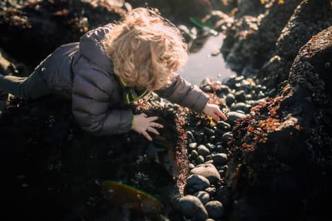 Search the Shore for Local Treasures